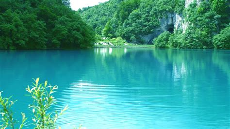 Turquoise Water Greenery Nature Hd Turquoise Wallpapers Hd Wallpapers