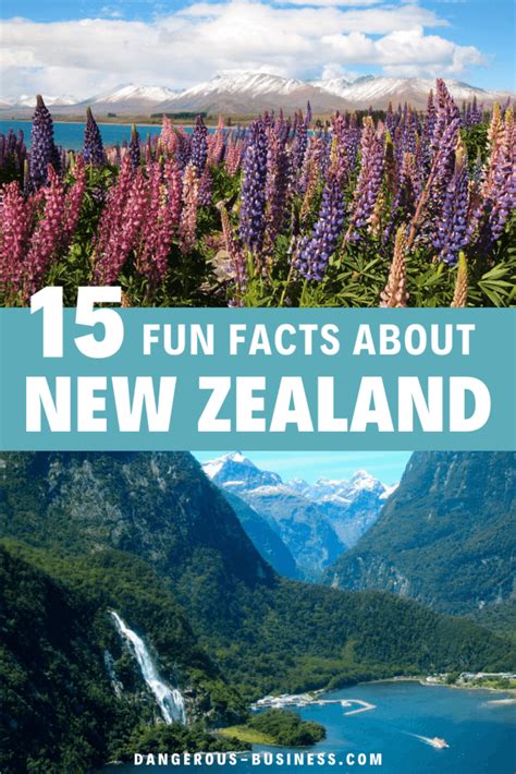 New Zealand Fun Facts 15 Things You Might Not Know About Nz
