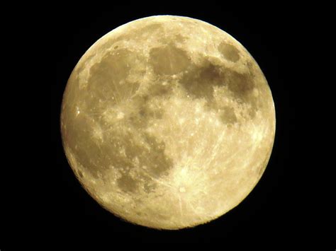 Full Yellow Moon Images And Pictures Becuo