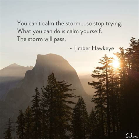 You Cant Calm The Storm Calming The Storm Work Quotes Storm