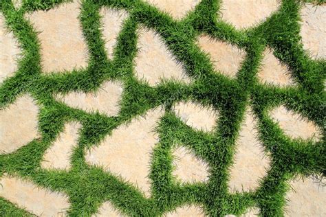 Stone Path In Green Grass Garden Texture — Stock Photo © Lunamarina