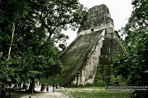 Templo V Tikal Tikal Mayan Ruins Aztec Architecture