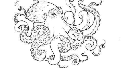 Aggregate Octopus Tattoo Drawing Thtantai