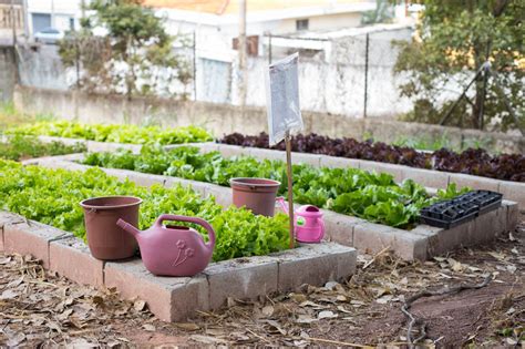 Horta Sustentável Pode Ser Feita Até Mesmo Em Espaços Pequenos