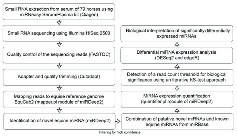 Flow Chart Outlining The Pipeline For Novel Mirna Detection As Well As