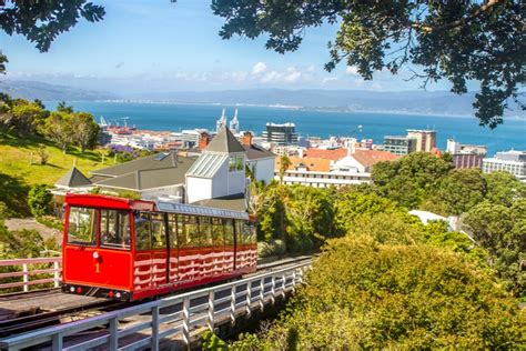 15 Best Things To Do In Wellington New Zealand