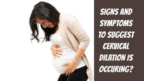 Understanding Cervical Checks During Labor Pregnancy Boss