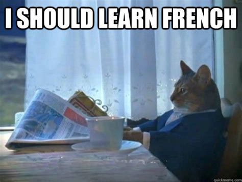 I Should Learn French Morning Realization Newspaper Cat Meme Quickmeme