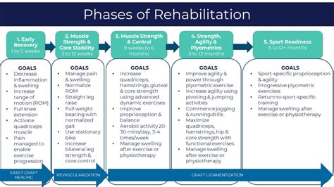 Phases Of Your Banff Sport Medicine Postoperative Rehabilitation