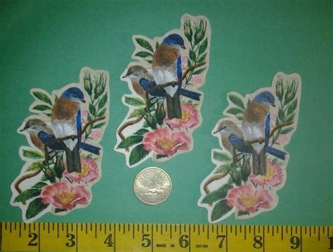 New York State Bird And Flower Iron Ons Fabric Appliques