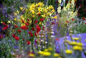 Image result for horticultural show