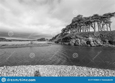 Budleigh Salterton Stock Photo Image Of Otter Seaside
