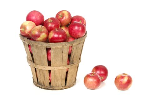 Farm Basket Of Apples On White Councilman Rick Bella