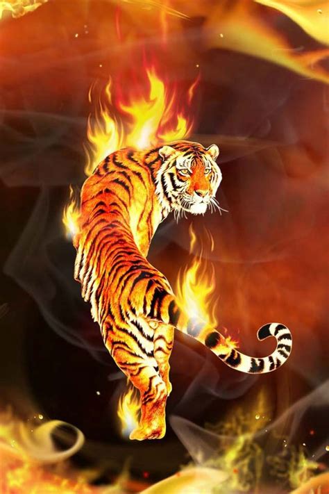 Flaming Tiger Tiger Wallpaper Animal Wallpaper Abstract Wallpaper