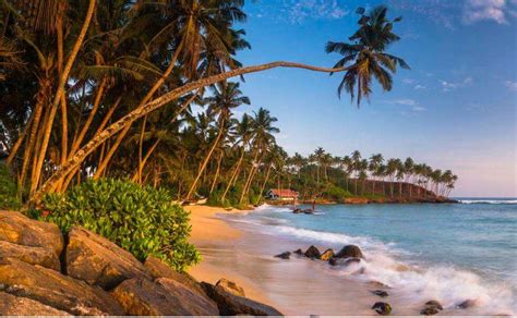 4 Fascinating Beaches To Visit In Trincomalee Sri Lanka Travel Reporter