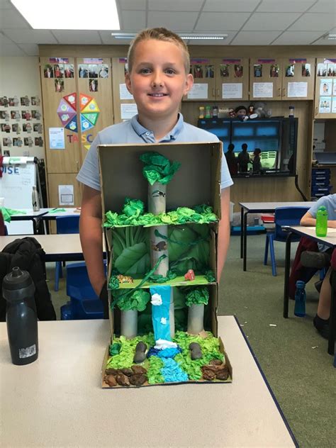 Rainforest Dioramas Boston West Academy