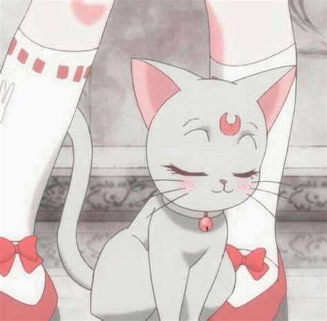 Cute Kawaii Pink Random Aesthetic Pastel Soft Cat Anime