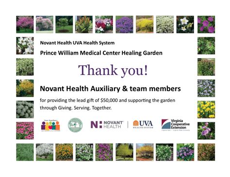 Healing Garden Enjoy Outdoor Therapy Year Round Novant Health Foundation