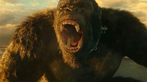 Godzilla Vs Kong Revela Nuevas Imágenes Junto A Sus Juguetes