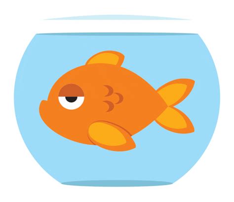 Cartoon Fish Animated  Unique Fish Photo