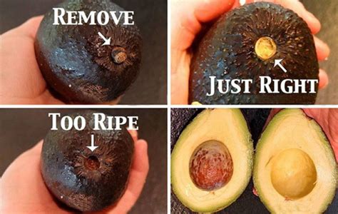 How To Ripen An Avocado Cook It