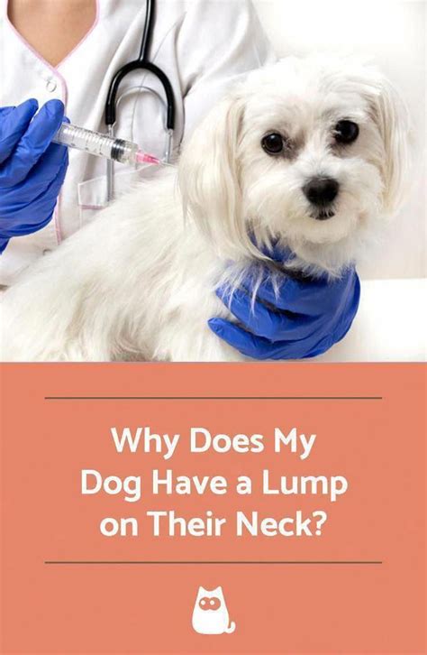 Do You Could Have A Lump On Your Neck Back Or Behind