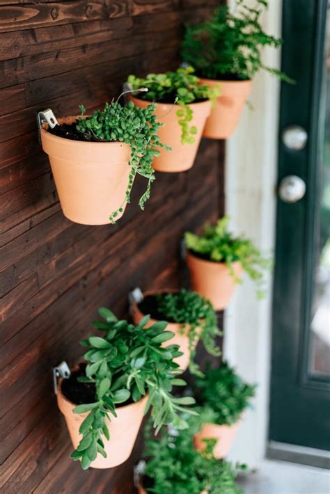 How To Make A Diy Outdoor Plant Wall This Living Wall Is So Simple To