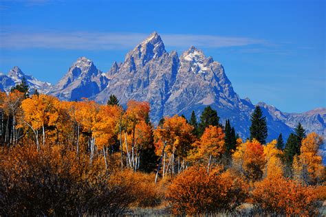 Fine Art Nature Photography From Grand Teton National Park