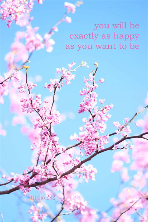 Cherry Blossom Flowers Inspirational Quotes For 2018 Beautiful