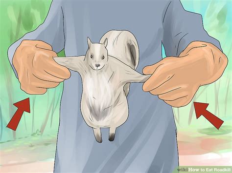 How To Eat Roadkill 9 Steps With Pictures Wikihow