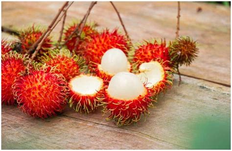 Rambutan Fruit Small Spiky Fruit Rambutan Is A Fruit Grown In Tropical Countries Such As
