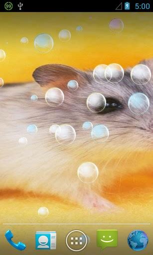 Free Download Download Funny Hamsters Live Wallpaper For Android By