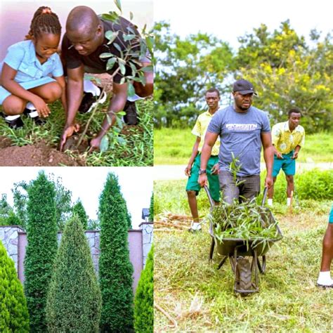 This Is The First Green Ghana Day A Beautiful Tree Planting Project