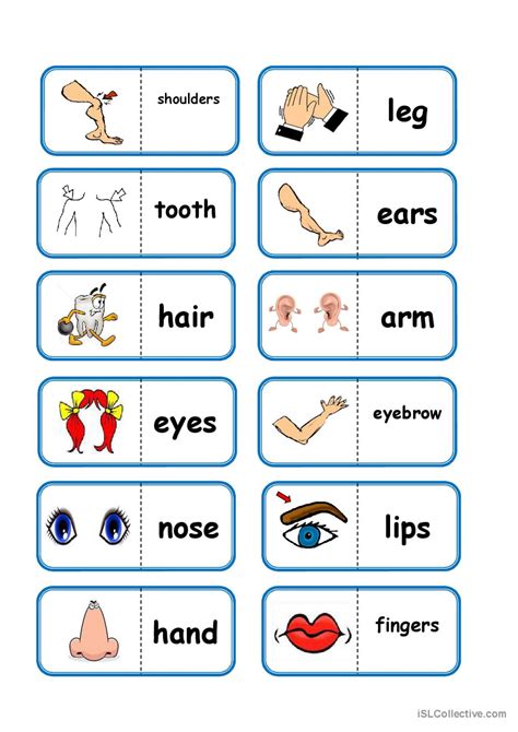 Body Parts Domino Vocabulary Flashc English Esl Worksheets Pdf And Doc