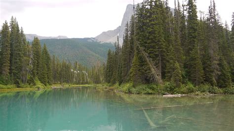 Dhirubhai Patel Emerald Lake Banff Canada