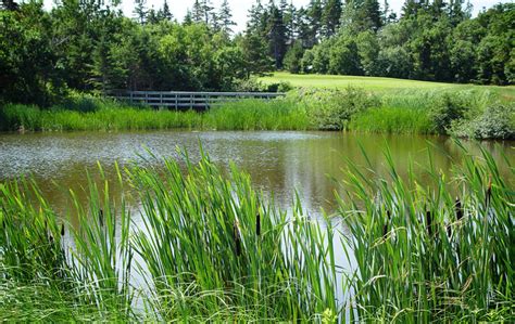 Home Stanhope Golf And Country Club Golf Pei