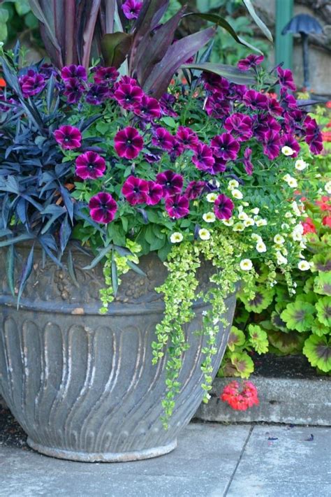 Container Flower Garden Ideas Garden Pots Garden Plant Pots