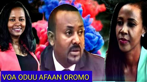 Voa Oduunews Afaan Oromo Oduu Guyyaa Hara Youtube