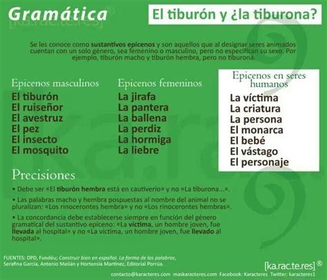 Sustantivos Epicenos Vocabulary Teaching Spanish Spanish