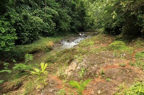 Costa Rica Bijagual Waterfall