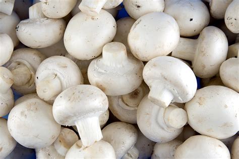 White Button Mushroom Extract Suppresses Prostate Cancer Growth In Mice
