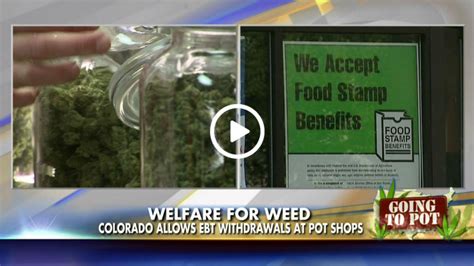 When will i get my ebt card ? ObamaWeed: Colorado Allows Welfare EBT Cards To Buy Marijuana