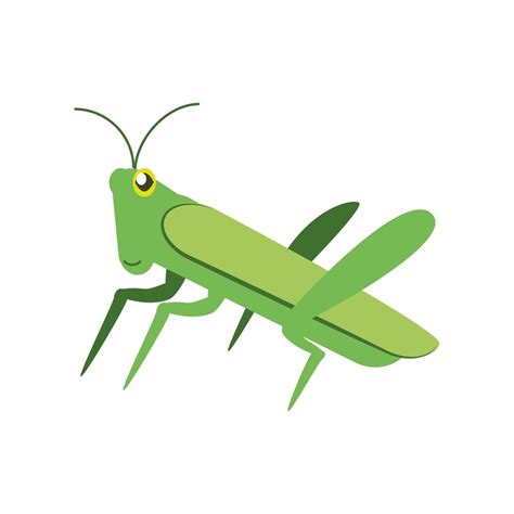Green Cricket Insect 4799660 Vector Art At Vecteezy