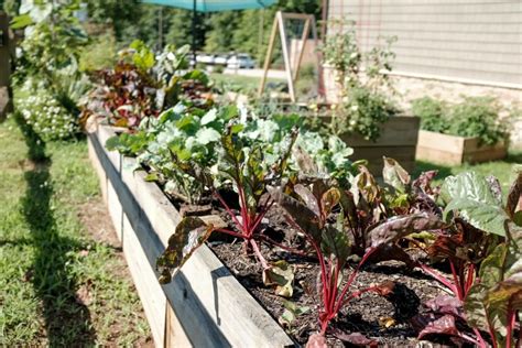 6 Ways To Achieve A Self Sustaining Garden Greener Ideal