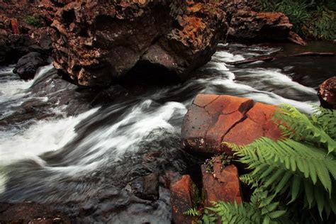 A Detailed Guide To A Visit To The Tablelands In Cairns