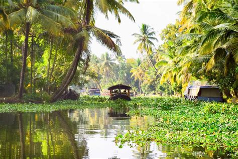 10 Best Places To Visit In Kerala By Road For Couples Tourist