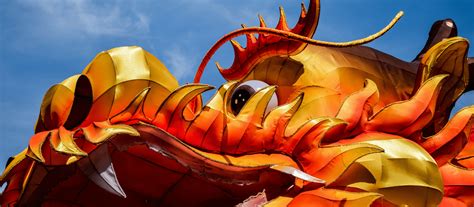 Gift ideas for the movie lover. 20 Gift Ideas for Dragon Lovers - Unique Gifter