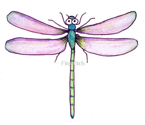 Drawing Day Dragonfly By Fineetch Redbubble
