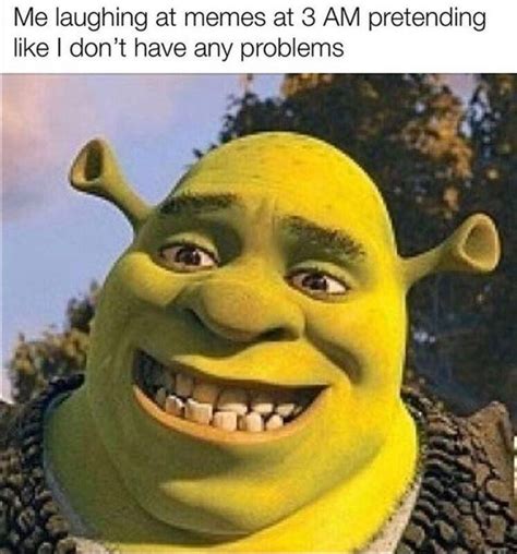 Pin By Derpy Burger On Shrek Memes Shrek Memes Funny Memes Stupid Funny