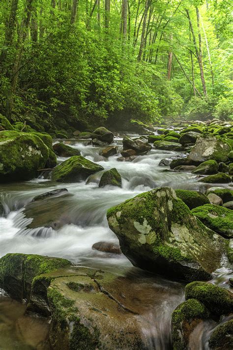Smoky Mountain Stream Photograph By Eric Albright Pixels